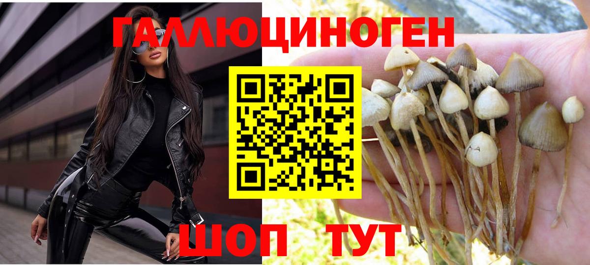 Псилоцибиновые грибы Psilocybine cubensis  Вход с VPN  Северобайкальск 